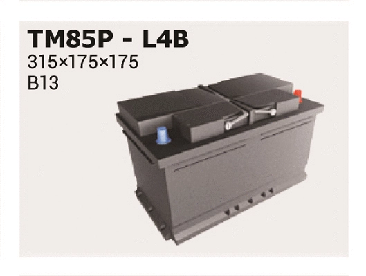 Starter Battery (TM85P)