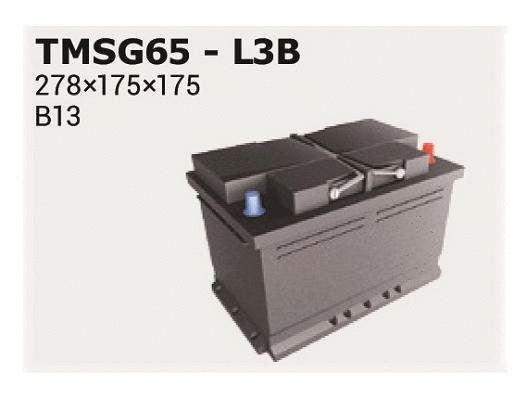 Starter Battery (TMSG65)