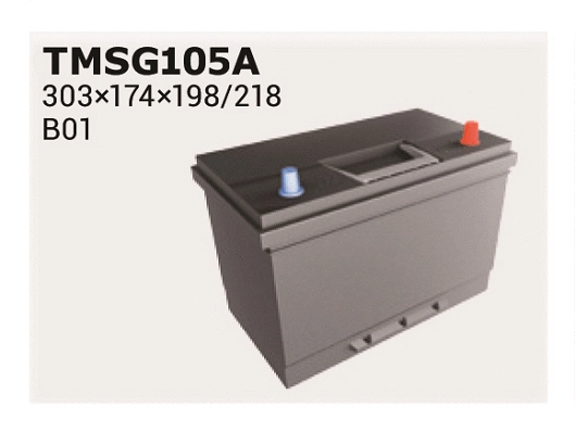 Starter Battery (TMSG105A)