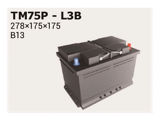 Starter Battery (TM75P)