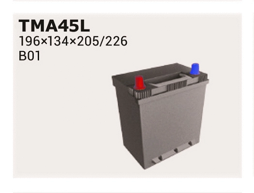 Starter Battery (TMA45L)