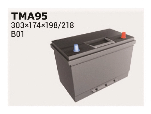 Starter Battery (TMA95)