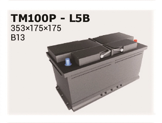 Starter Battery (TM100P)