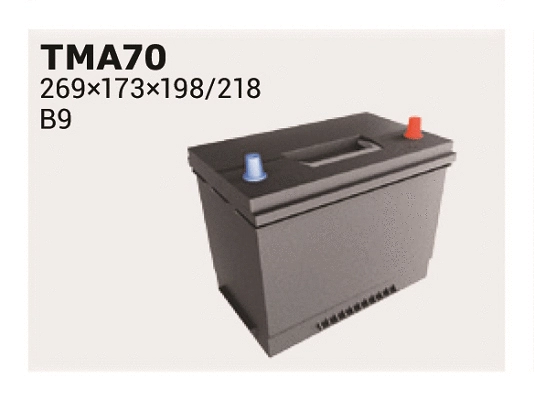 Starter Battery (TMA70)