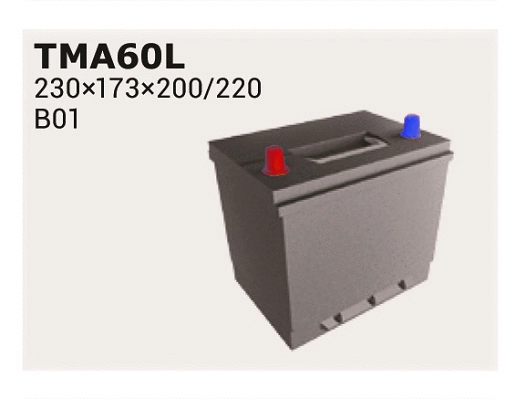 Starter Battery (TMA60L)