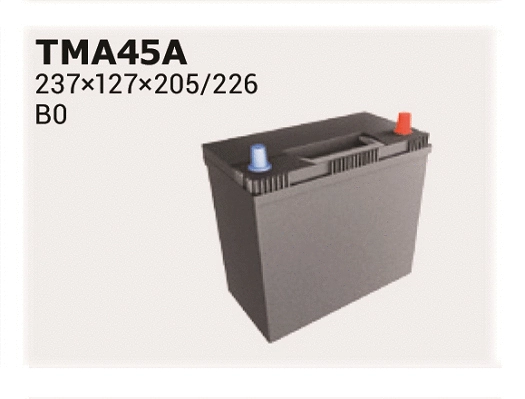 Starter Battery (TMA45A)