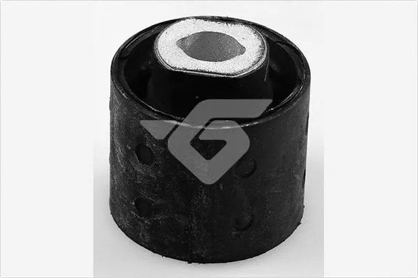 Bushing, axle beam (590311)