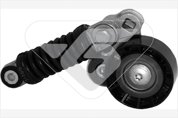 Tensioner Pulley, V-ribbed belt (T2008)