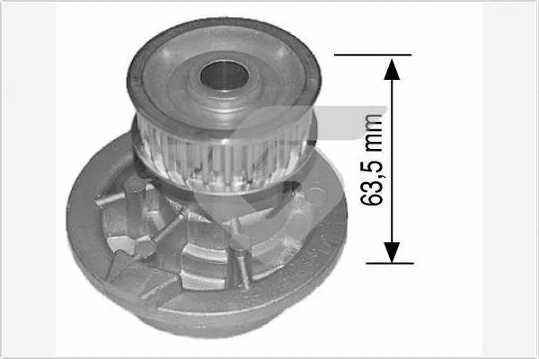 Water Pump, engine cooling (WP21)