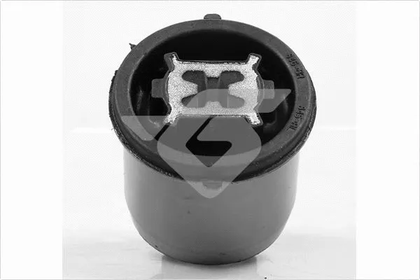 Bushing, axle beam (590285)