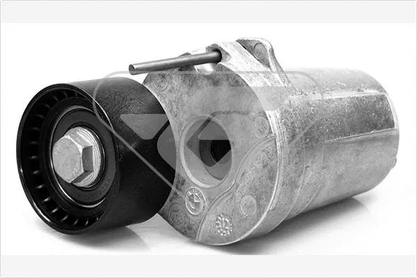 Tensioner Pulley, V-ribbed belt (T0073)