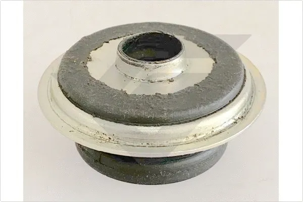 Suspension Strut Support Mount (590579)