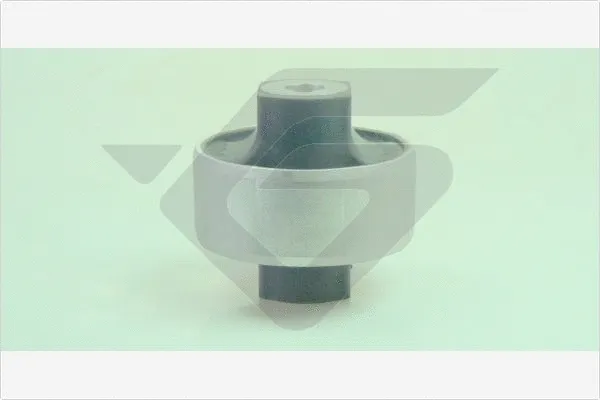 Mounting, control/trailing arm (590371)