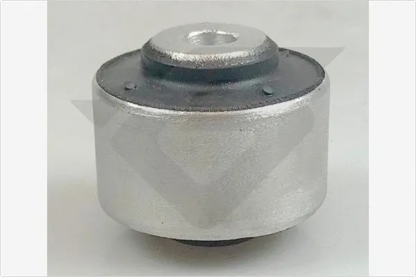 Mounting, control/trailing arm (590414)