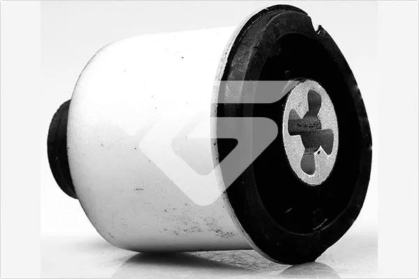 Bushing, axle beam (590155)
