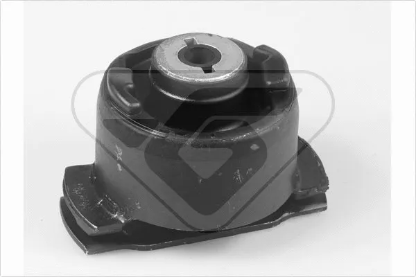 Bushing, axle beam (531657)