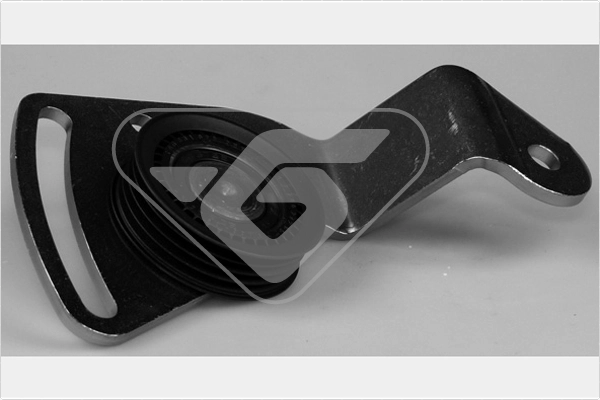 Tensioner Pulley, V-ribbed belt (T0361)