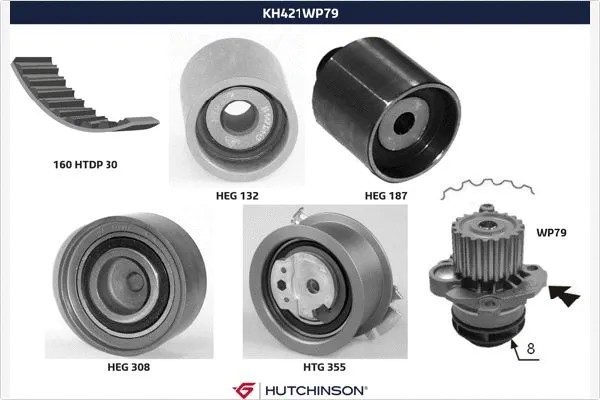 Water Pump & Timing Belt Kit (KH 421WP79)