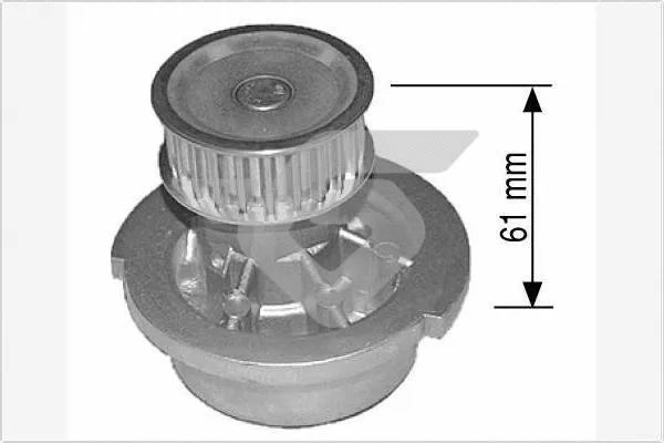 Water Pump, engine cooling (WP19)