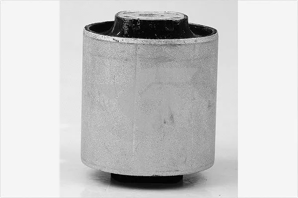 Mounting, control/trailing arm (590249)