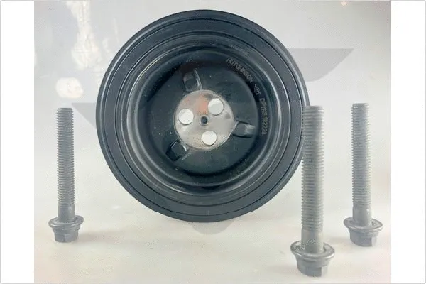Belt Pulley, crankshaft (DP111S)