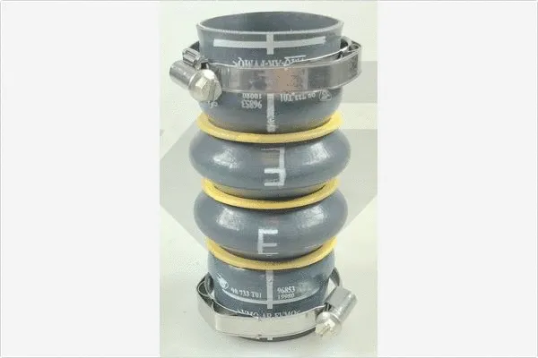 Charge Air Hose (110005)
