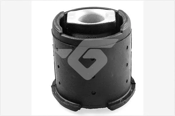 Bushing, axle beam (590308)
