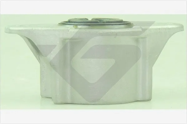 Suspension Strut Support Mount (590491)