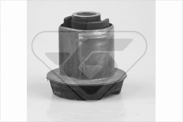 Bushing, axle beam (599070)