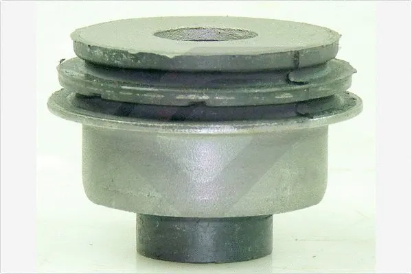 Mounting, control/trailing arm (590533)
