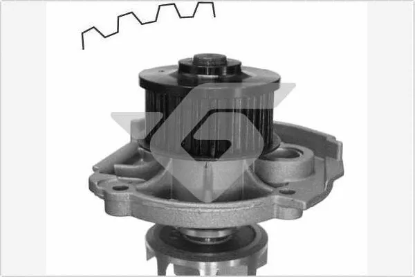 Water Pump, engine cooling (WP39)