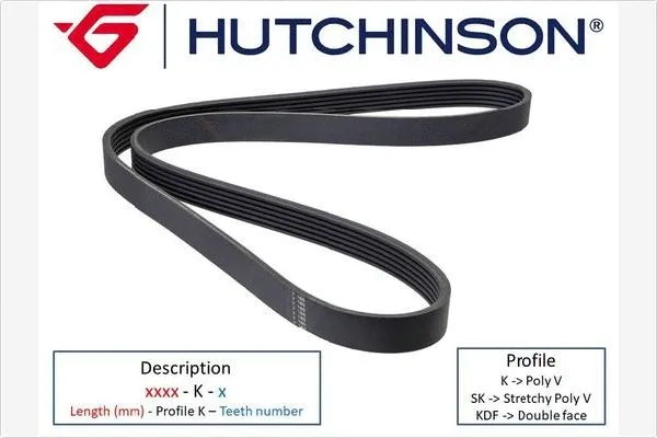 V-Ribbed Belt (942 K 8)