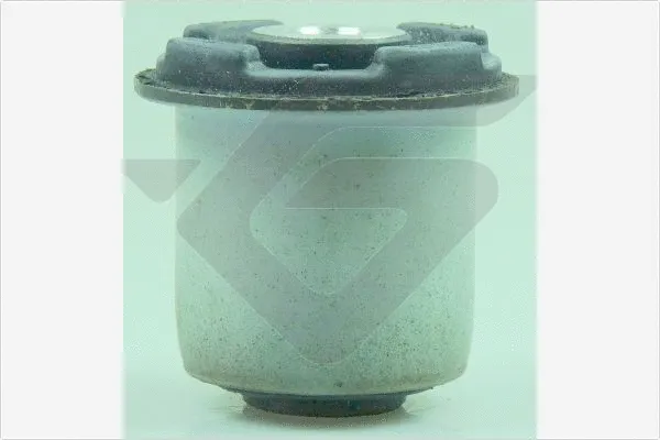 Mounting, control/trailing arm (590388)