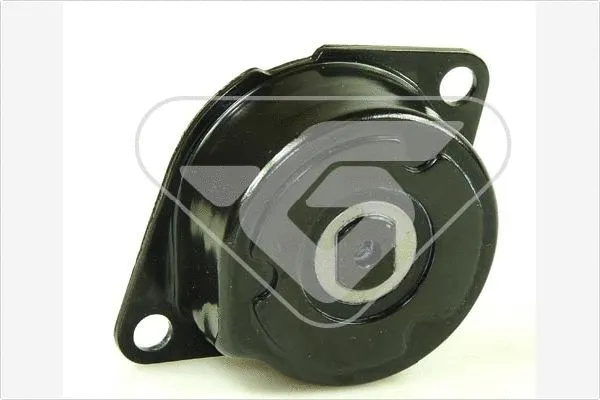 Tensioner Pulley, V-ribbed belt (T0254)