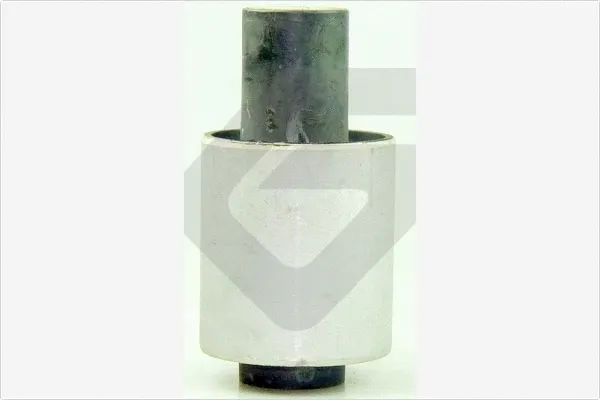 Mounting, control/trailing arm (590532)