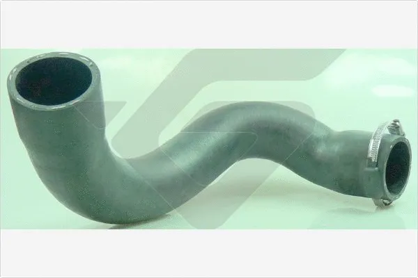 Charge Air Hose (110003)