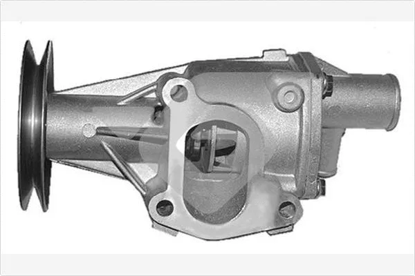 Water Pump, engine cooling (WP303)