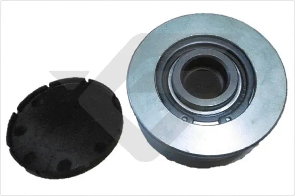 Alternator Freewheel Clutch (DB0283)