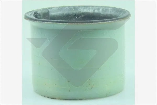 Mounting, control/trailing arm (590395)