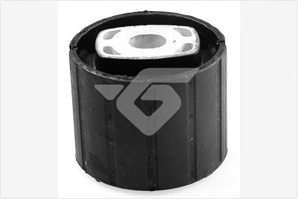 Bushing, axle beam (590301)