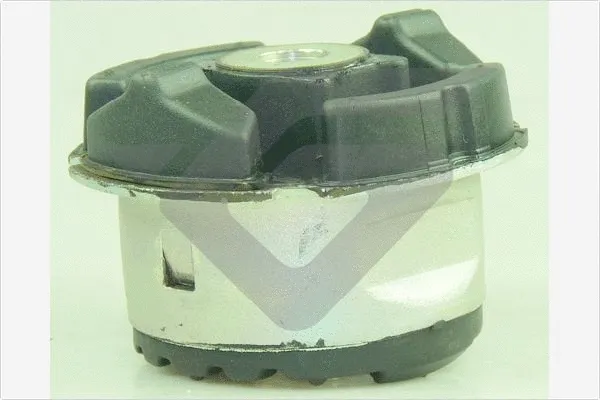 Bushing, axle beam (590440)