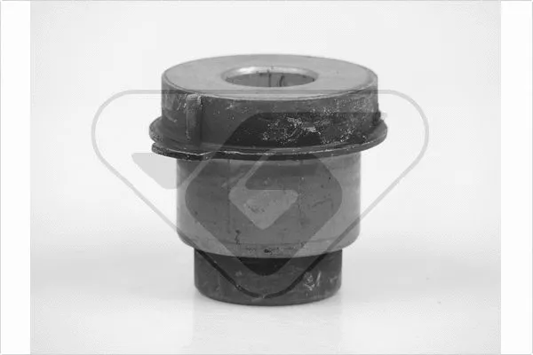 Bushing, axle beam (599067)
