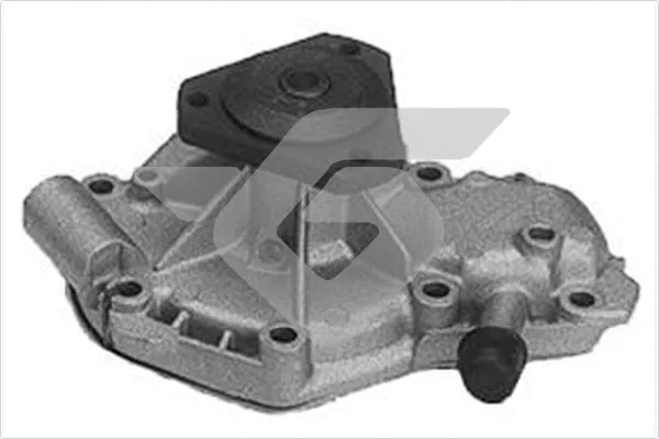 Water Pump, engine cooling (WP306)