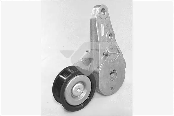 Tensioner Pulley, V-ribbed belt (T0561)