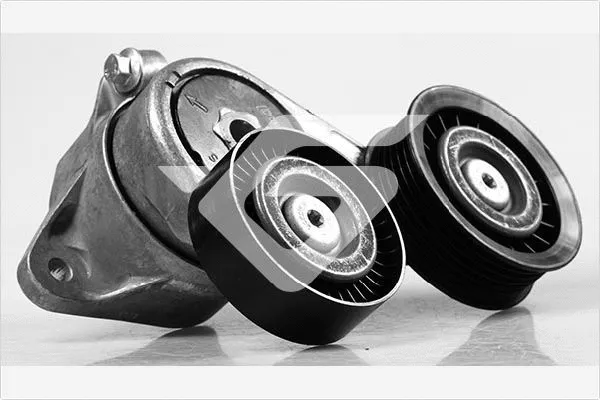Tensioner Pulley, V-ribbed belt (T0439)