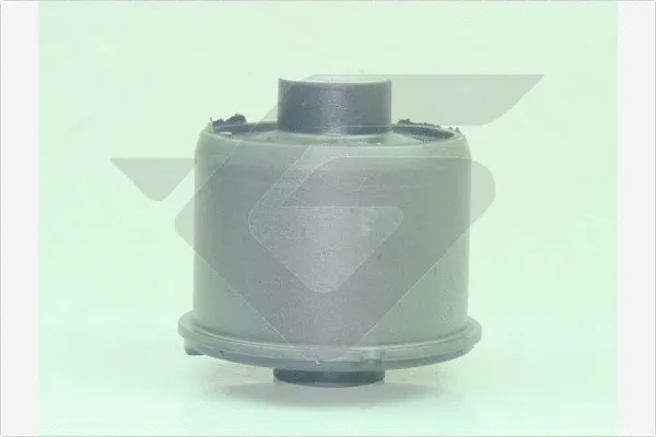 Bushing, axle beam (590376)