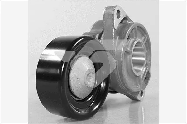 Tensioner Pulley, V-ribbed belt (T0489)