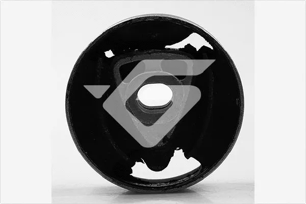 Bushing, axle beam (597002)