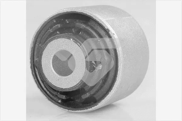 Mounting, control/trailing arm (590334)