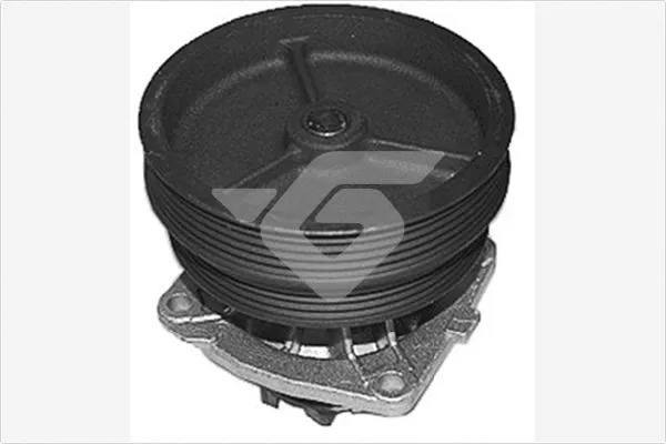 Water Pump, engine cooling (WP172)